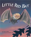 The seasons turn cold, and little red bat doesn’t know what to do. Should she stay or should she go? Find out in this tale of a young red bat’s first winter. Written by Carole Gerber, Illustrated by Christina Wald.