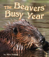 Do busy beavers ever take a 
break? This photographic journal 
documents a year as the beavers 
build their dam, raise their young 
and gather food before the winter 
months come again.