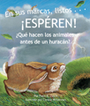 A hurricane forms over ocean. Humans board up windows, gather food and supplies, and then wait for the storm to arrive. But what to wild animals do? Written by Patti Zelch, Illustrated by Connie McLennan.