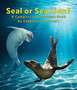 Seal or Sea Lion?