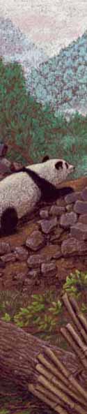 Pandas' Earthquake Escape